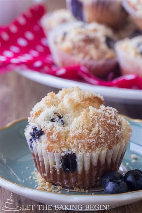 blueberry muffins burberry shirt|Cinnamon streusel blueberry muffins to celebrate a special veteran.